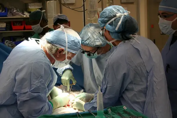 surgery-1049588_1280_result