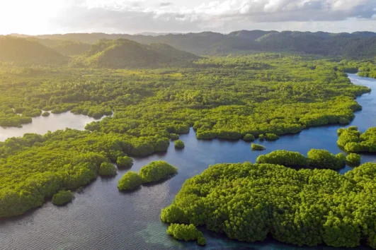 Aventura en el Amazonas